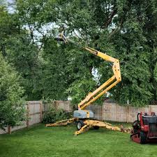 Best Landscape Design and Installation  in Sweetwater, TX